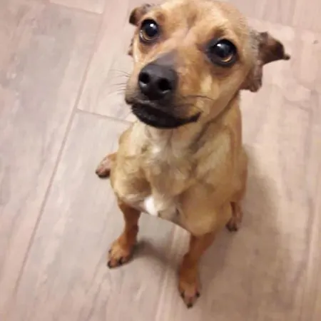 Πανσιόν Casa Di Marco E Kaila